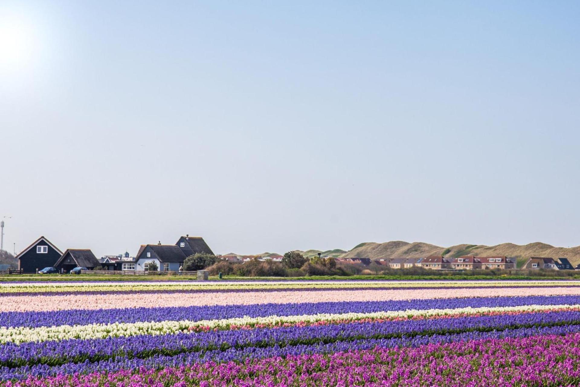 Vakantiehuis Beau - Julianadorp Aan Zee المظهر الخارجي الصورة